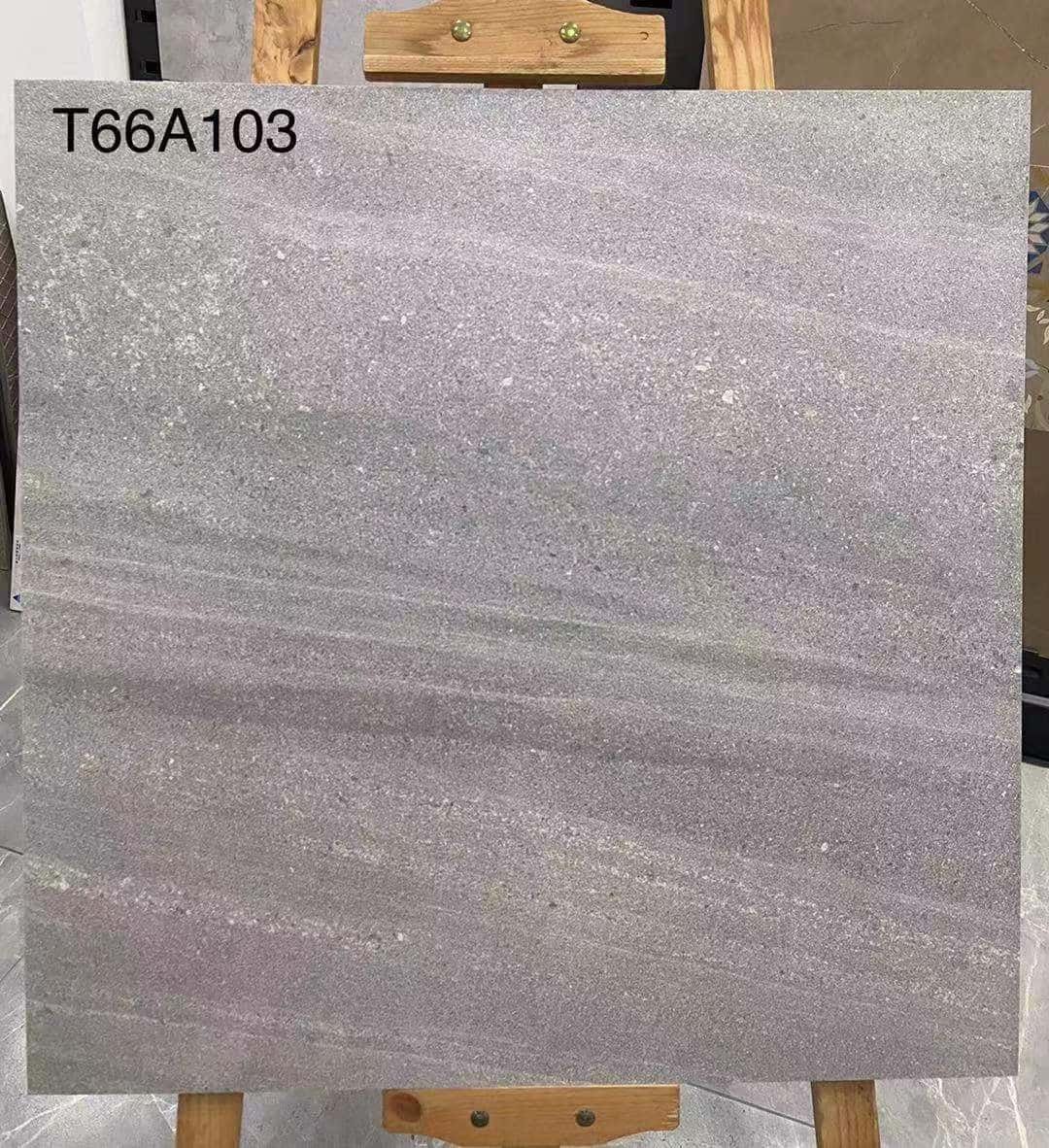 T66A103