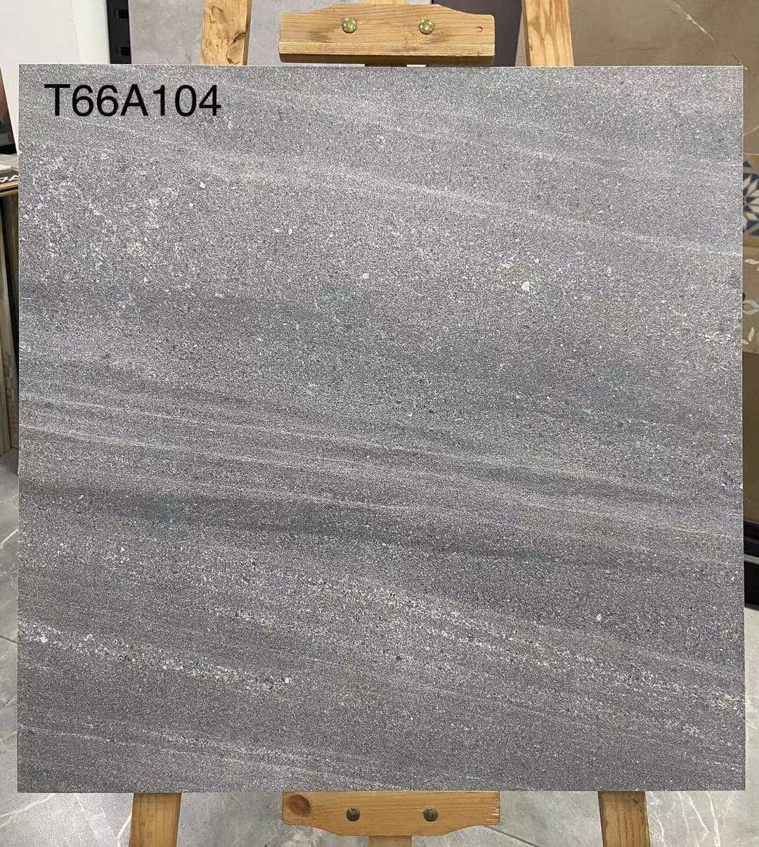 T66A104