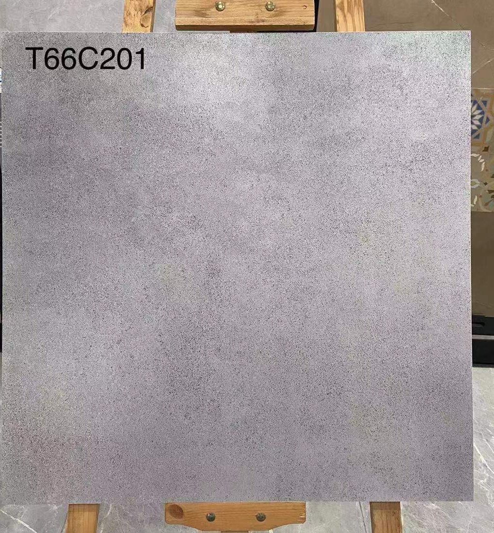 T66C201